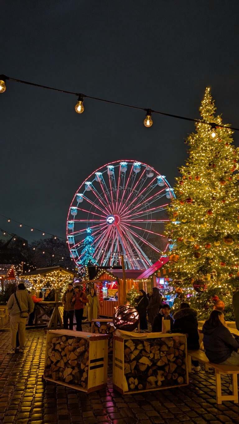 paris thanksgiving tour